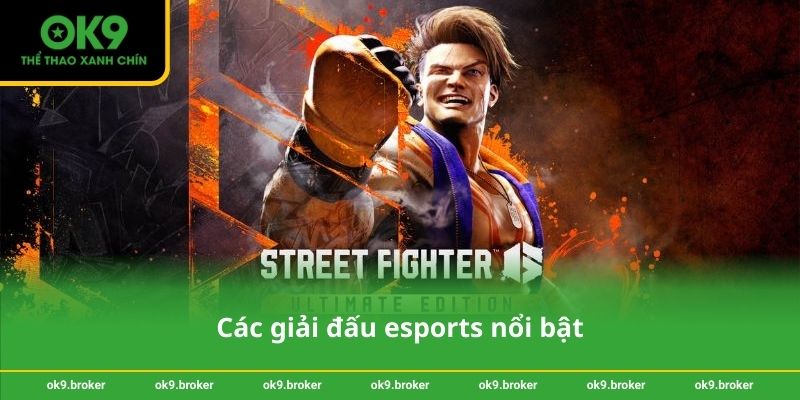 Các giải đấu esports nổi bật