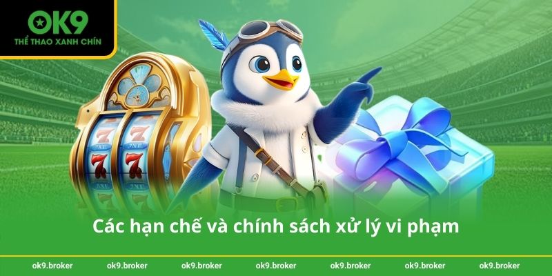 Các hạn chế và chính sách xử lý vi phạm