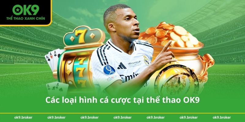 Các loại hình cá cược tại thể thao OK9