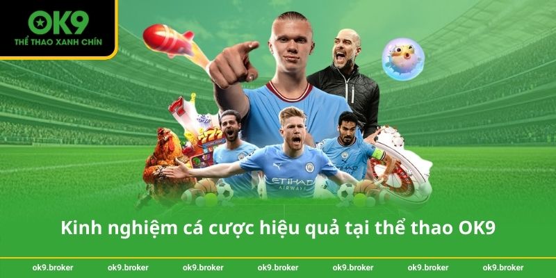 Kinh nghiệm cá cược hiệu quả tại thể thao OK9