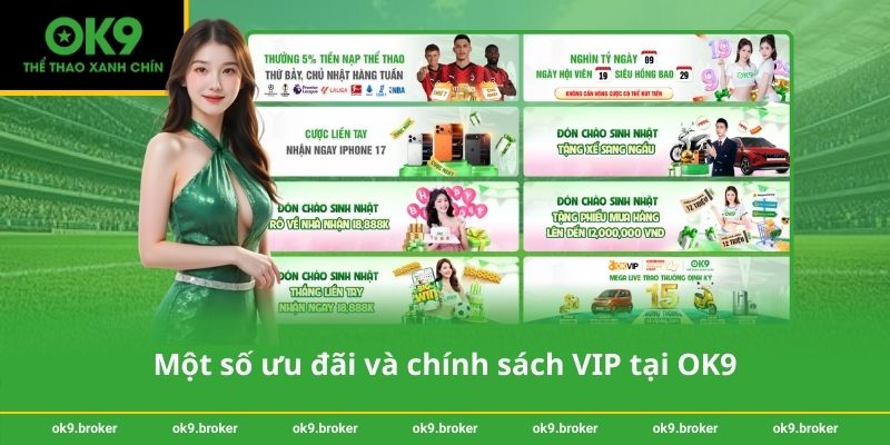 Một số ưu đãi và chính sách VIP tại OK9
